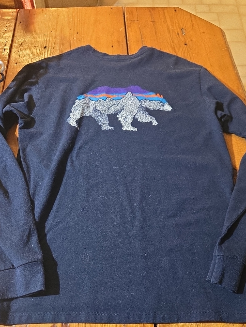 Patagonia Sz S Navy Long Sleeve Bear Graphic Tee